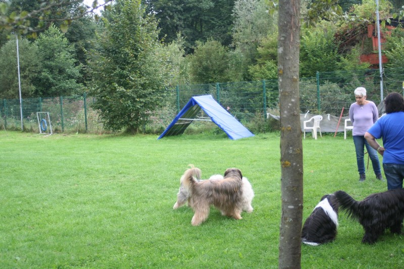 ../Images/Bild 032.jpg